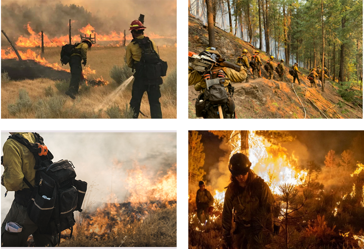 طفاية حريق الغابات18