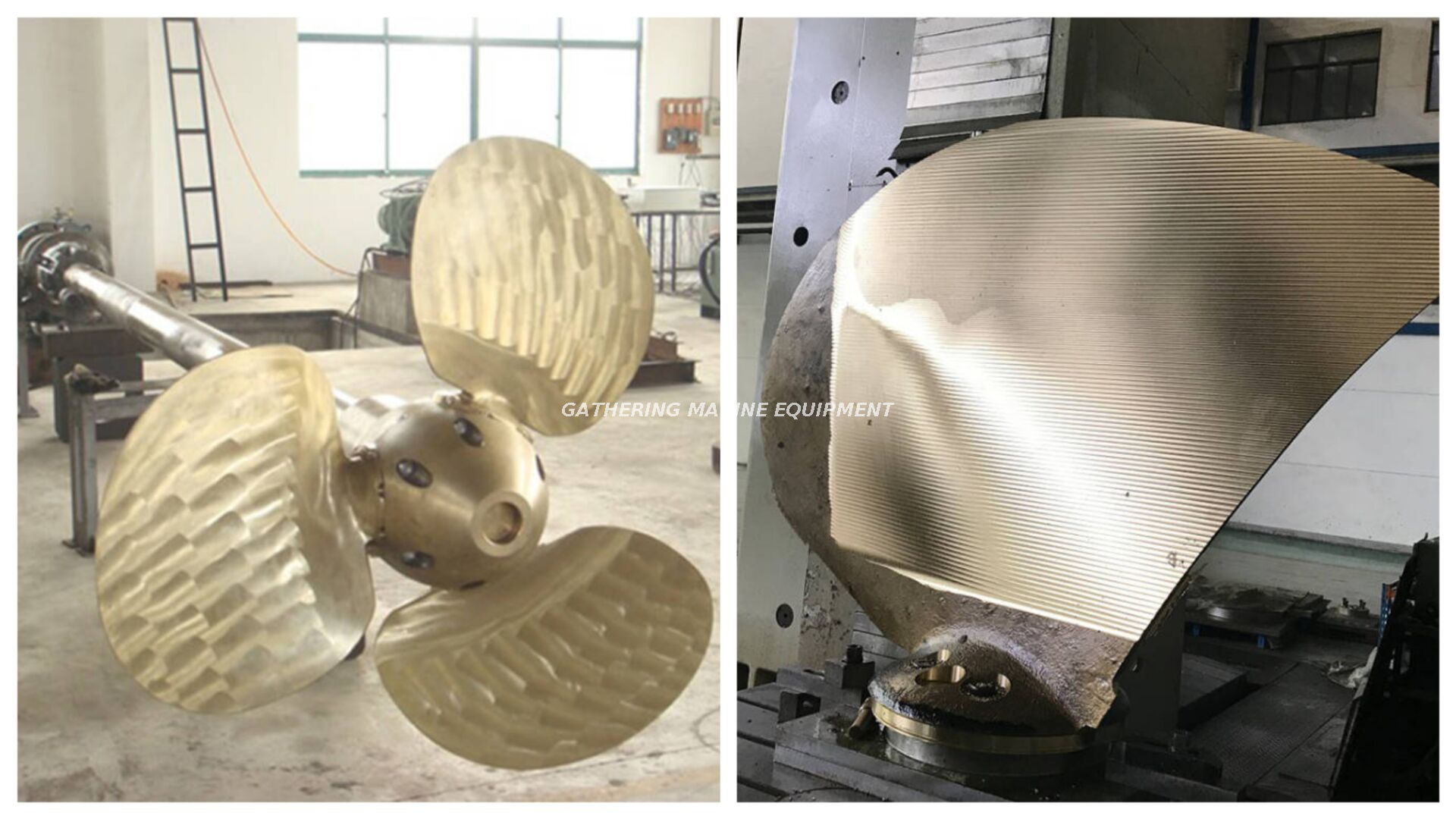 المروحة القوارب