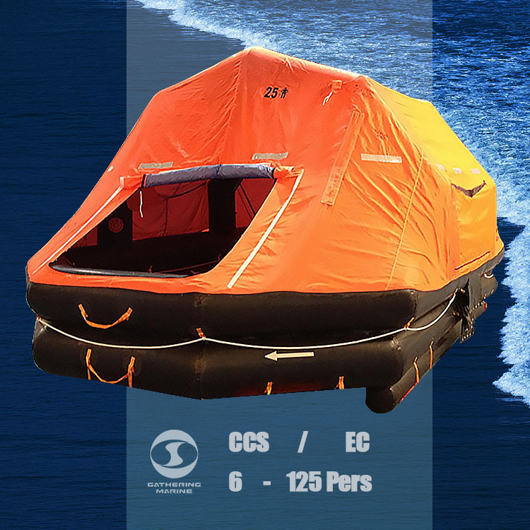 تصحيح الحياة رافعة 244.6