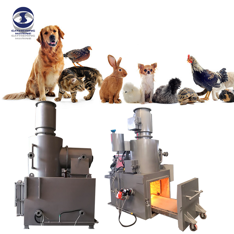 ضرورة حرق جثث الحيوانات الأليفة والدواجن مقارنة بالدفن